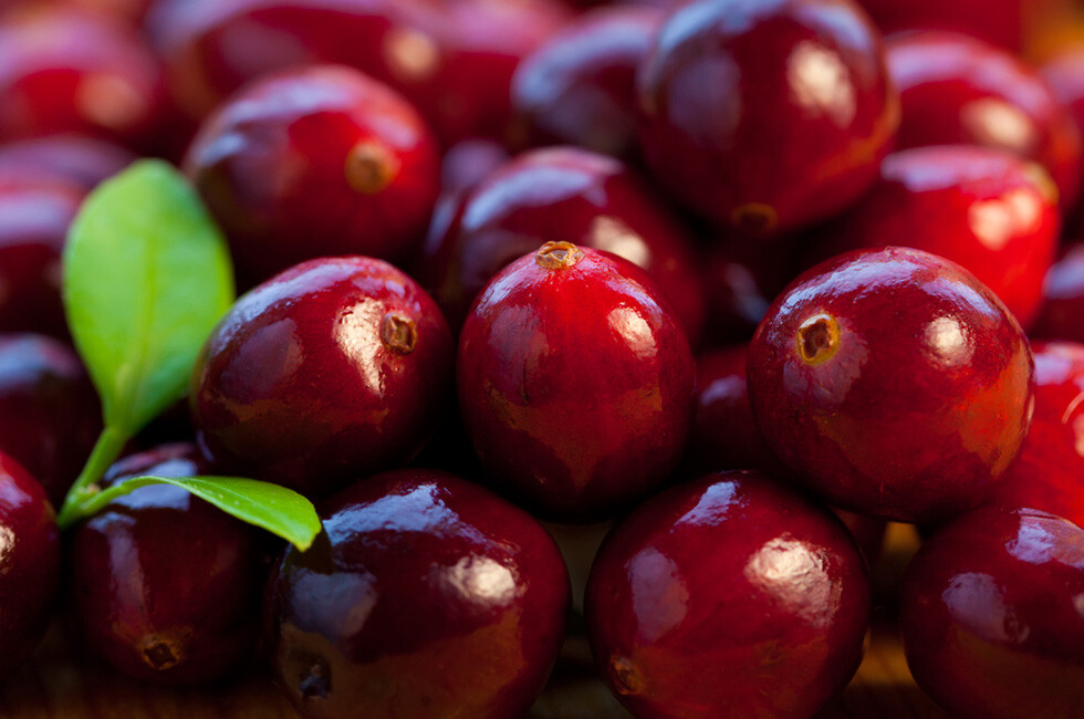 Cranberries bei Harnwegsinfektionen sind vor allem präventiv erfolgreich. @ sarsmis / shutterstock.com