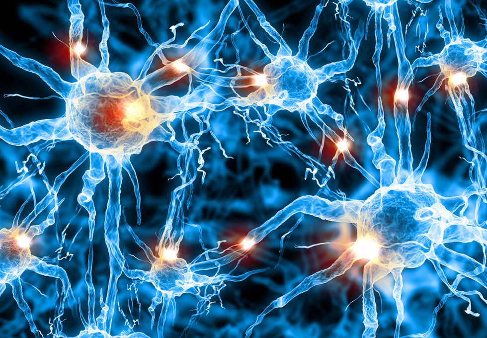Die grafische Abstraktion zeigt ein Netzwerk von Nervenzellen im Gehirn. © Sergey Nivens / shutterstock.com