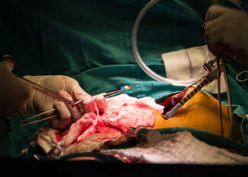 Mit IPC vor dem Eingriff konnte Nierenversagen bei Herz-OP vermieden werden. © surassawadee / shutterstock.com