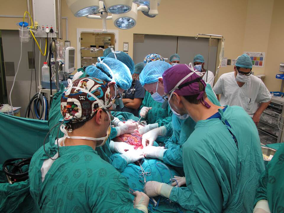 Die sehr aufwändige Operation musste sehr genau vorbereitet werden. © Stellenbosch University