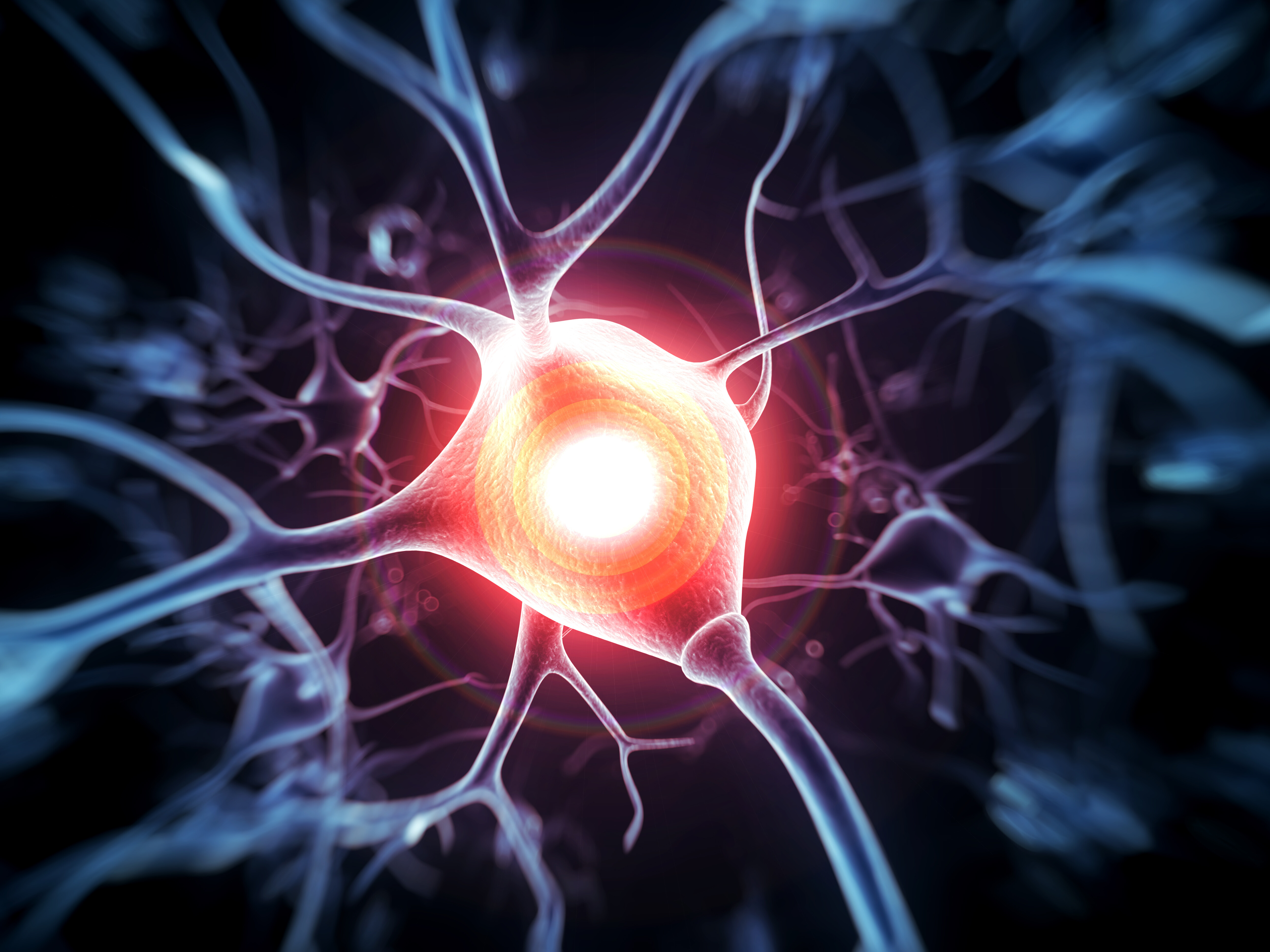 Illustration einer Nervenzelle. © Sebastian Kaulitzki / shutterstock.com