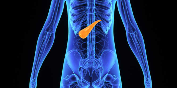 Omega-3-Fettsäuren verbessern Chemotherapie bei Pankreaskarzinom, sodie Ergebnisse einer aktuellen Studie. ©sciencepics / shutterstock.com