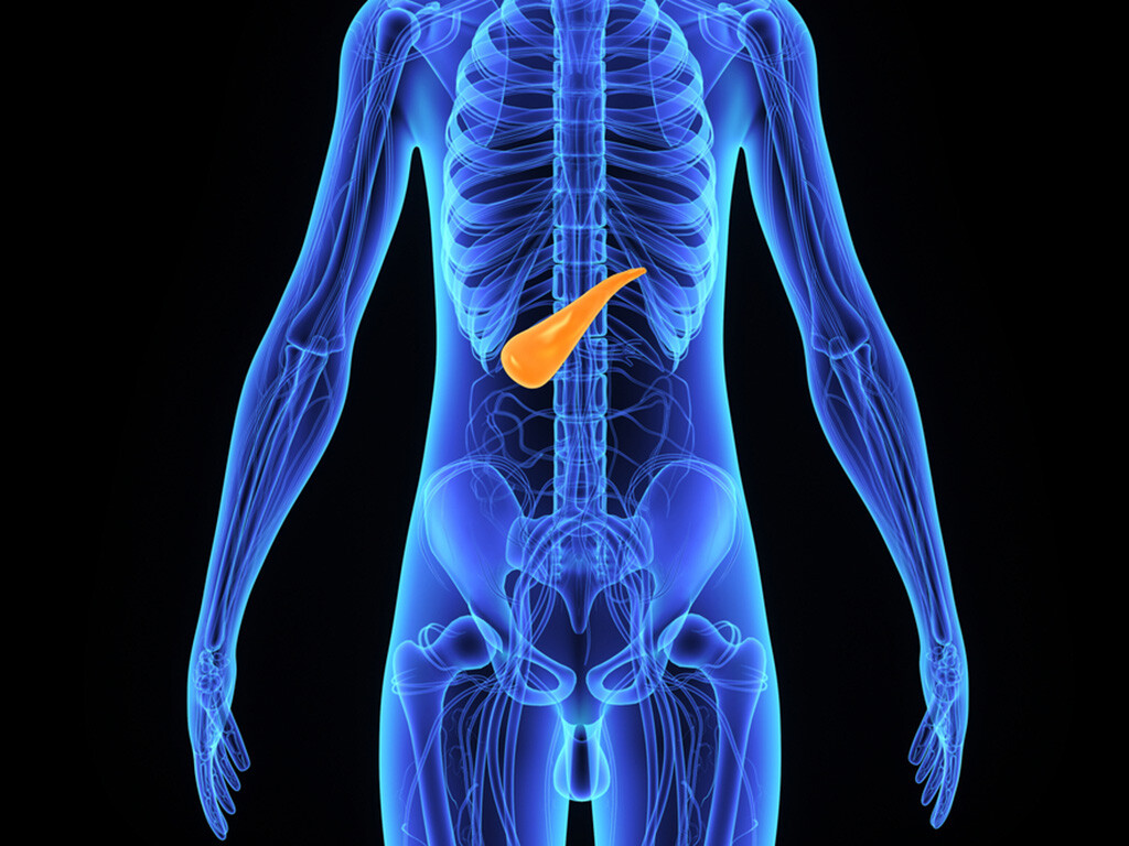 Die neue Forschung könnte die Entwicklung einer zielgerichteten Therapie bei Bauchspeicheldrüsenkrebs begünstigen. © sciencepics / shutterstock.com