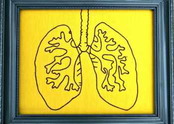 Wissenschafter untersuchten den Prozess, der stattfindet, wenn die Lunge ihre Wunden heilt. © Hey Paul Studios / flickr Creative Commons