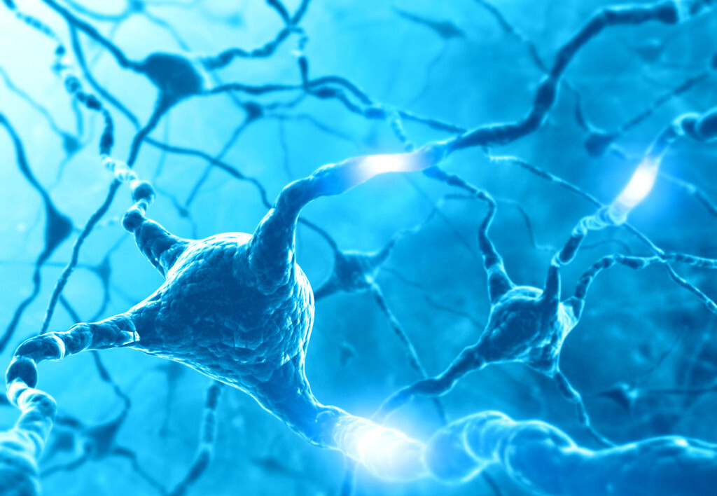 Eine relativ neue Erkenntnis besagt, dass Dopaminmangel im Gehirn auch die Interaktion zwischen MSNs und anderen Neuronen, sogenannten Fast-Spiking-Neuronen (FSN), stört - was zukünftig für die Behandlung von Parkinson-Patienten von großer Relevanz sein kann. © ktsdesign / shutterstock.com