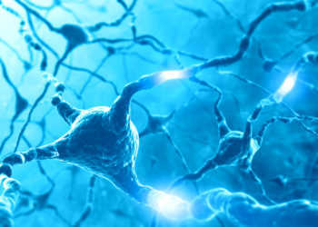 Eine relativ neue Erkenntnis besagt, dass Dopaminmangel im Gehirn auch die Interaktion zwischen MSNs und anderen Neuronen, sogenannten Fast-Spiking-Neuronen (FSN), stört - was zukünftig für die Behandlung von Parkinson-Patienten von großer Relevanz sein kann. © ktsdesign / shutterstock.com