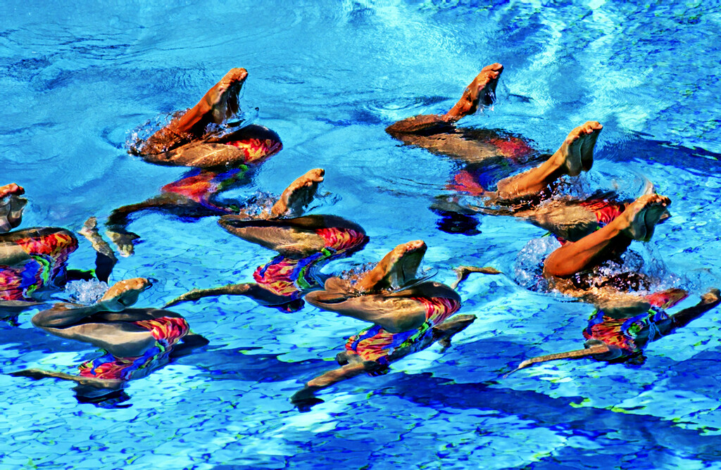 Synchronschwimmen, bei Frauen eine olympische Disziplin, verlangt hohe körperliche Leistungen unter Luftmangel, Rhythmusgefühl und Beweglichkeit. © Paolo Bona / shutterstock.com