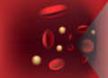 Lipidprofil mit LDL-Cholesterin und HDL-Cholesterin. © Alila Medical Media / shutterstock.com