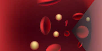 Lipidprofil mit LDL-Cholesterin und HDL-Cholesterin. © Alila Medical Media / shutterstock.com