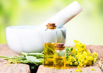 Im Vergleich versus Olivenöl schnitt Rapsöl bei der Verbesserung von Cholesterin- und Leberwerten besser ab. © verca / shutterstock.com