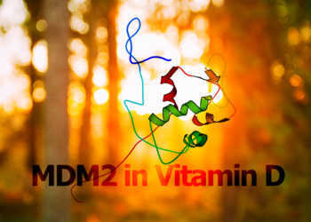 Das Protein MDM2 kommt natürlich beim Vitamin-D-Stoffwechsel vor. © AFCOM