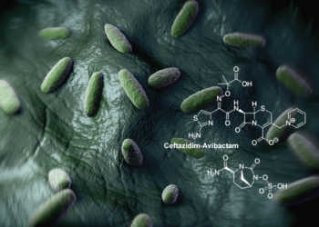 Mit Ceftazidim-Avibactam kombiniert (CAZ-AVI) gegen gramnegativen Bakterien. © royaltystockphoto.com / shutterstock.com