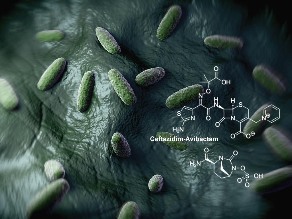 Mit Ceftazidim-Avibactam kombiniert (CAZ-AVI) gegen gramnegativen Bakterien. © royaltystockphoto.com / shutterstock.com