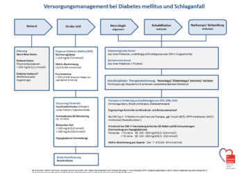Vorschlag zur Glukosesteuerung von der Akutbehandlung bis zur Nachsorge bei Diabetes und Schlaganfall. © Stiftung DHD