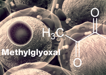 In Organismen entsteht das Methylglyoxal häufig als Nebenprodukt von Stoffwechselvorgängen,– insbesondere im Zusammenhang mit der Glykolyse. © UGREEN 3S / shutterstock.com