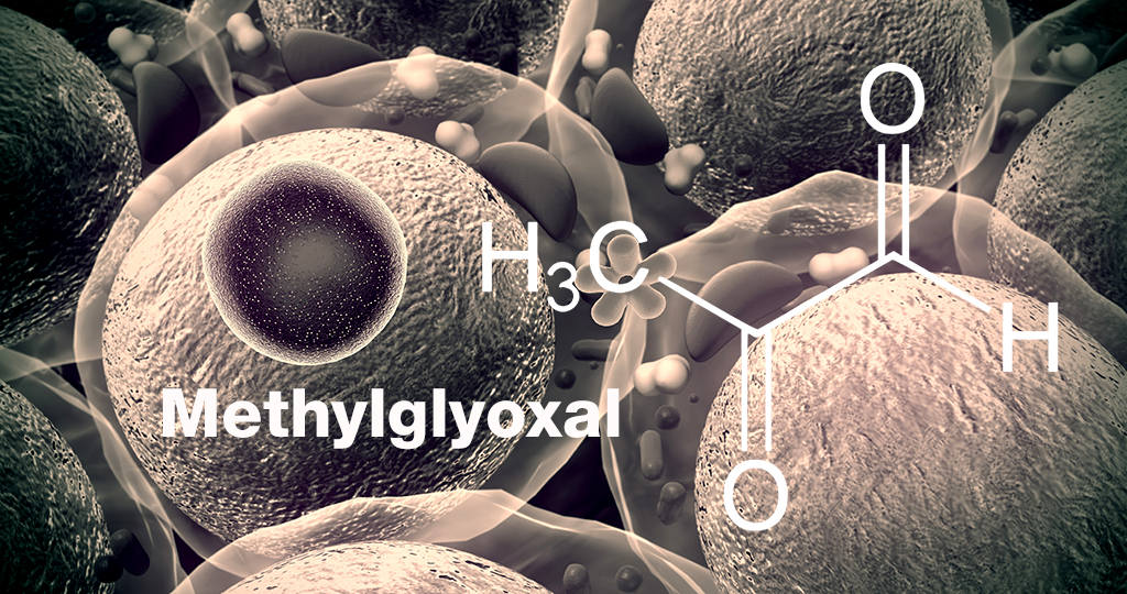 In Organismen entsteht das Methylglyoxal häufig als Nebenprodukt von Stoffwechselvorgängen,– insbesondere im Zusammenhang mit der Glykolyse. © UGREEN 3S / shutterstock.com