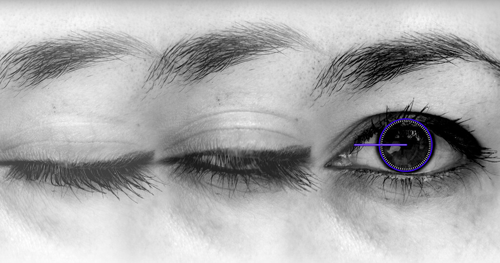 Blinzelndes Auge, Augenbewegung aufgezeichnet per Video-Okulographie. © Thier Lab