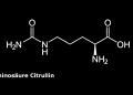 Die Aminosäure Citrullin war in Proben von Metformin behandelten Patienten in deutlich geringer vorhanden als bei unbehandelten Patienten.