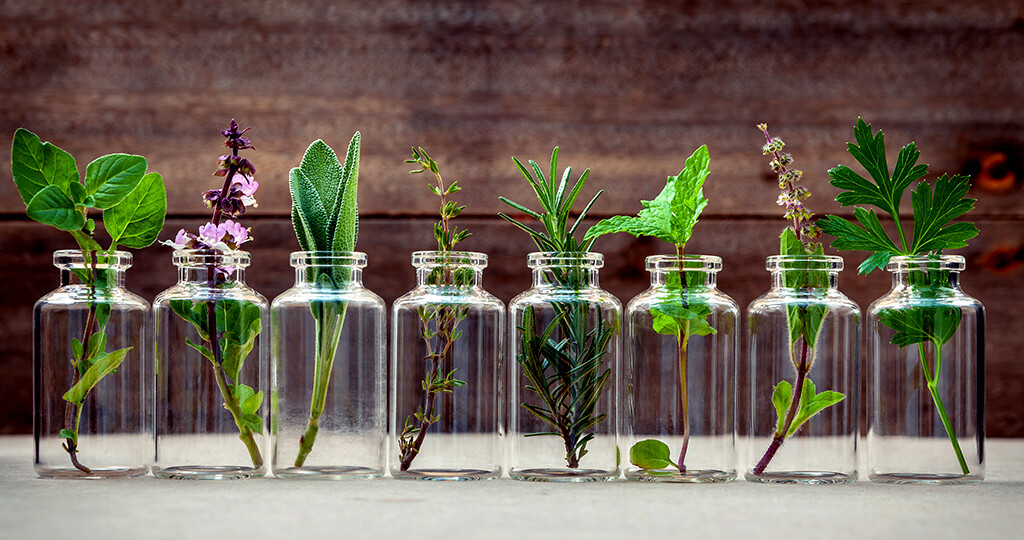Homöopathika zur Selbstmedikation werden zu 70 Prozent aus Pflanzen hergestellt. © kerdkanno / shutterstock.com