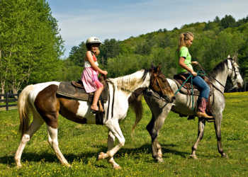 So ist es richtig: Kinder reiten mit Helm sicherer. © SUSAN LEGETT / shutterstock.com