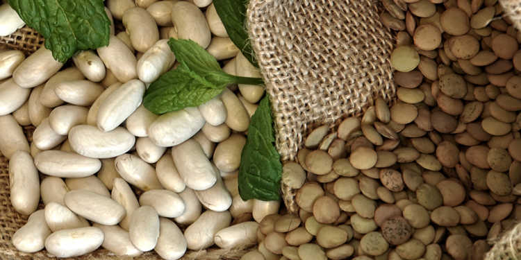 In Linsen und weißen Bohnen stecken viele pflanzliche Proteine. © Angela Aladro mella / shutterstock.com