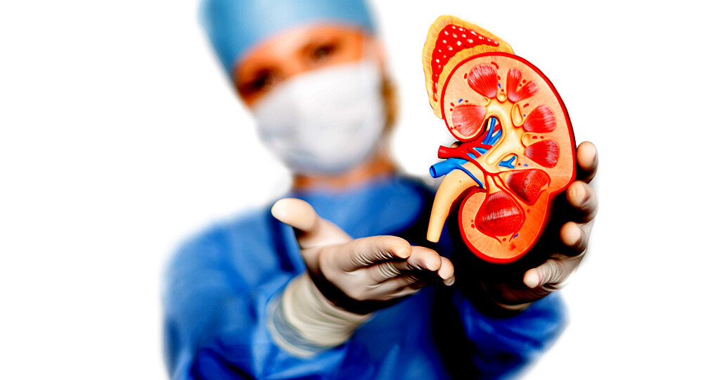 Die roboter-assisitierte Nierentransplantation einer Lebendspende ist eine noch junge Errungenschaft der Urologie. © yezry / shutterstock.com