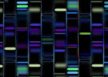 Neue technische Verfahren der DNA-Sequenzierung haben Umfang und Komplexität genomischer Forschungsdaten explosionsartig anwachsen lassen. © eskemar / shutterstock.com