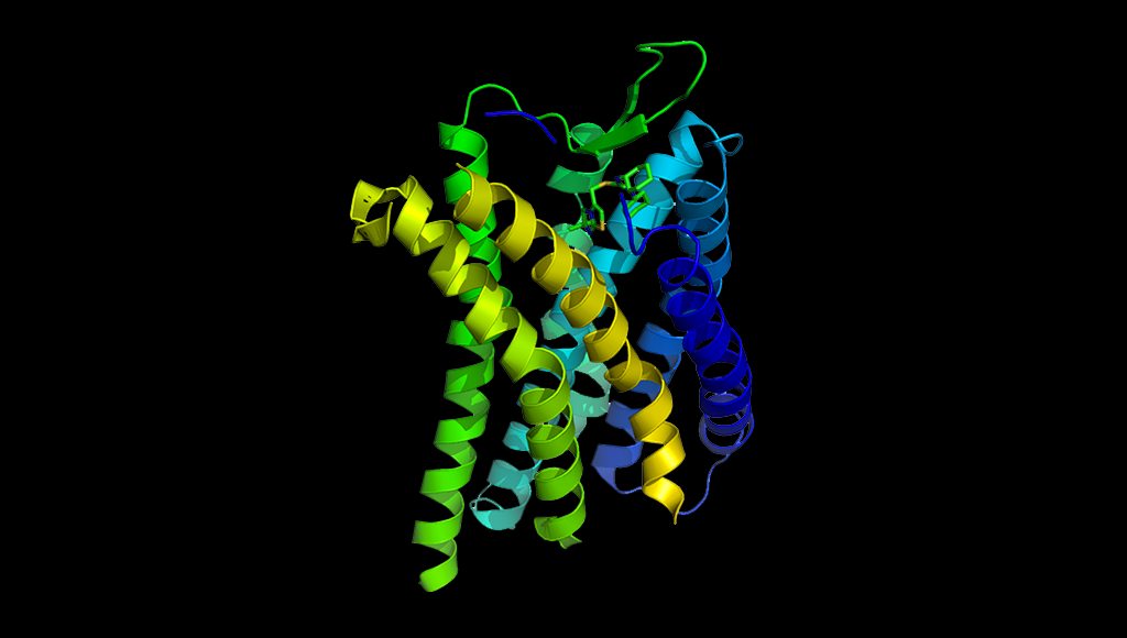 CXCR4 – CXC-Motiv-Chemokinrezeptor 4. © S. Jähnichen / CC BY-SA 3.0 / wikimedia
