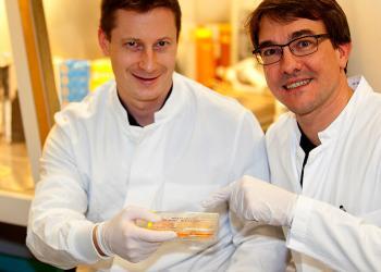 Dr. Reto Eggenschwiler und Professor Dr. Tobias Cantz im Labor. © MHH / Kaiser