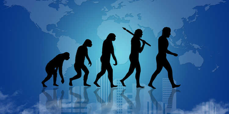 Evolution Mensch © mmatee / shutterstock.com