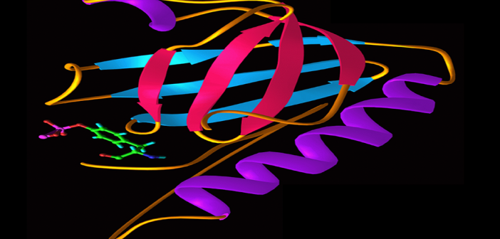 Durch den ständig ­hohen Insulinspiegel ist der Insulinrezeptor permanent aktiviert bis er ­sozusagen erlahmt.