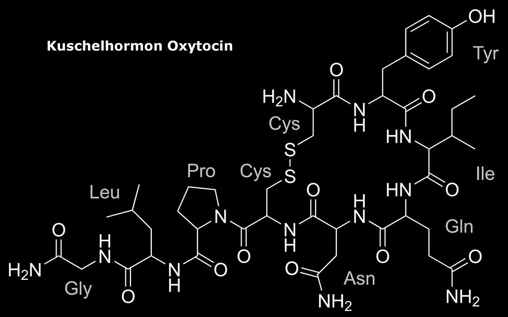 Bedeutung von Oxytocin.