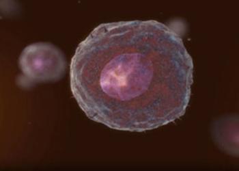 Zirkulierende Tumorzellen (Circulating Tumor Cells, CTCs) sind eine Form der Flüssigbiopsie zur Entwicklung eines Staging-Systems. © PRNewsfoto / Menarini Silicon Biosystems