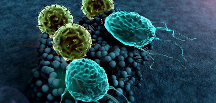 T-Lymphozyten attackieren Krebszellen, Checkpointinhibitoren sollen das verhindern und die Tumoren »verstecken. © UGREEN 3S / shutterstock.com