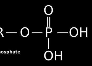 Phosphate – Strukturformel. © Trengarasu / CC 3.0 / wikimedia