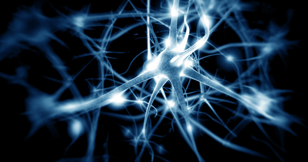 Nerven / Neuronen © Giovanni Cancemi / shutterstock.com
