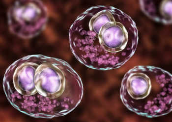 Das Enzym m152 schützt das Cytomegalovirus gegen die Immunabwehr des menschlichen Körpers. © Kateryna Kon / shutterstock.com