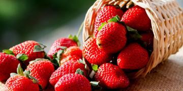 Die Erdbeere zeigt auch verschiedene positive gesundeitliche Effekte. © minicase / shutterstock.com