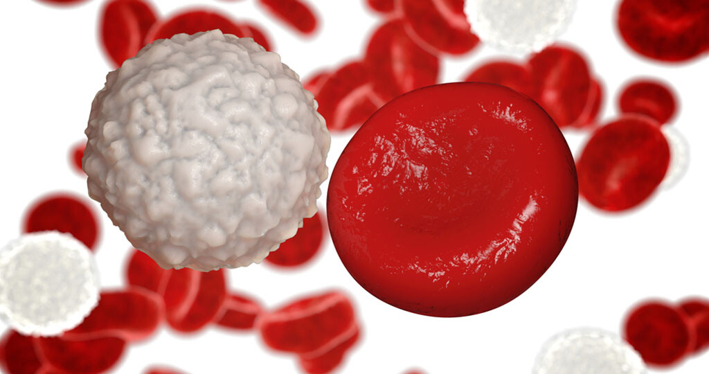 Rote und weiße Blutkörperchen. © Pavel Chagochkin / shutterstock.com