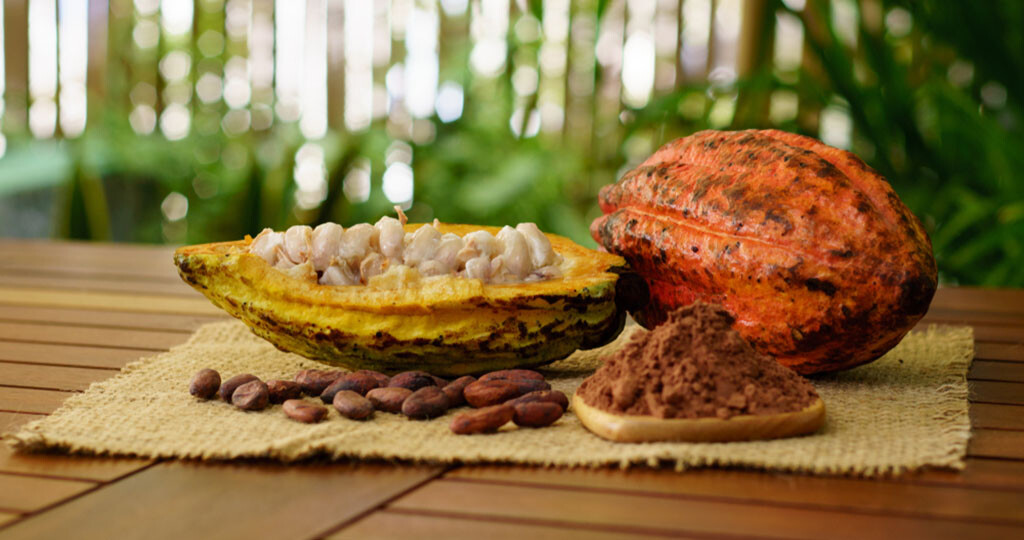 Kakaofrucht, Kakaobohnen, Kakaopulver. © Von Saulyak Sergey / shutterstock.com