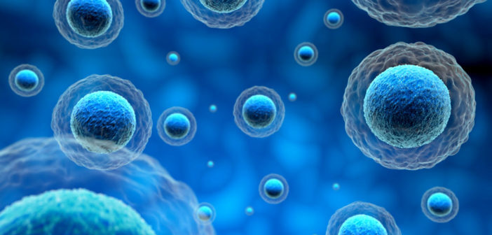 Zellen © paulista / shutterstock.com