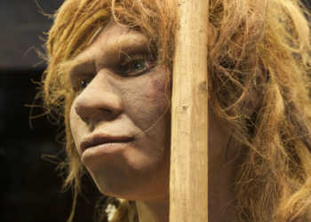 Neandertaler © Juan Aunion / shutterstock.com