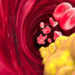 Zu hohes Cholesterin begünstigt schädliche Ablagerungen in den Gefäßen. Naeblys / shutterstock.com