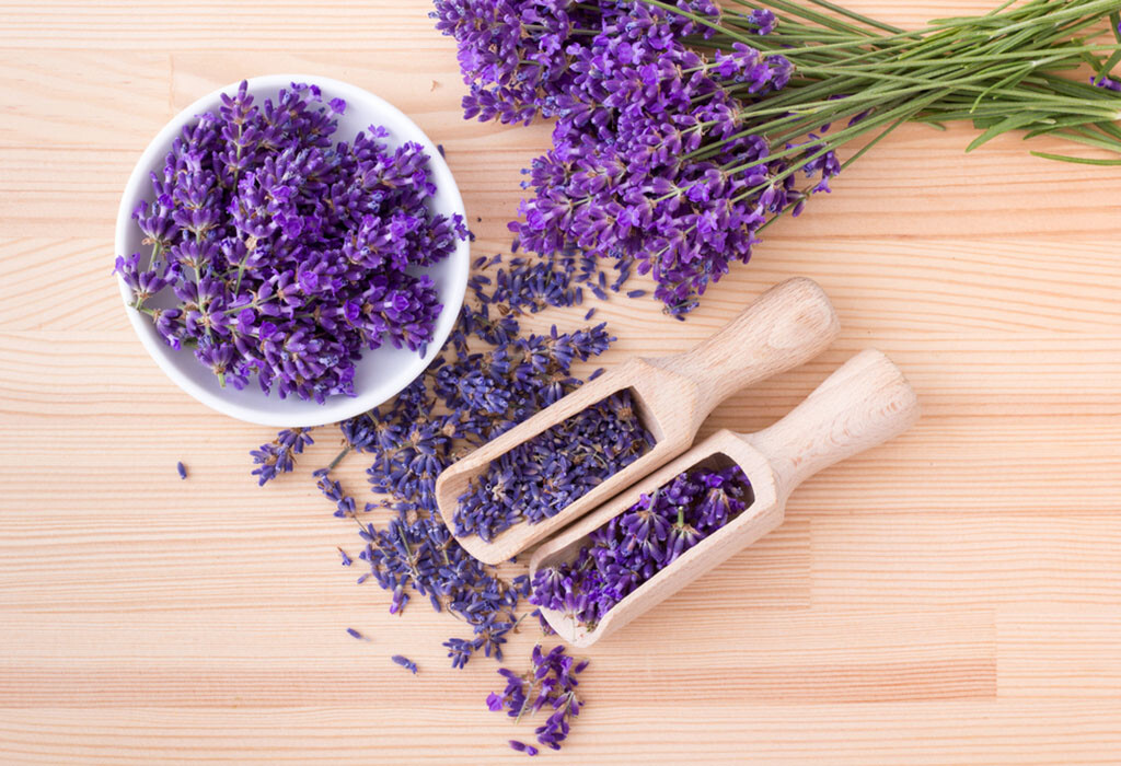 Lavendel wurde in Österreich zur Arzneipflanze 2020 gewählt. © Cora Mueller / shutterstock.com