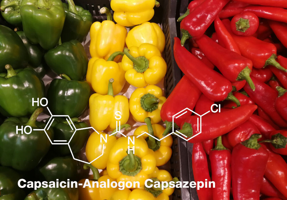 Capsazepin leitet sich vom bekannten scharfen Chili- und Paprika-Wirkstoff Capsaicin ab. © C4289N / shutterstock.com
