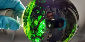 Alkoholischer Artemisia annua Extrakt in der Corona-Pandemie: Beifuß könnte gegen die Coronavirus-Erkrankung Covid-19 helfen. / © Dr. K. Gilmore