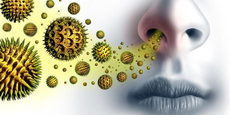 Seit langem erfolgreich im Kampf gegen Allergien: Naturheilkunde und TCM. © Lightspring / shutterstock.com