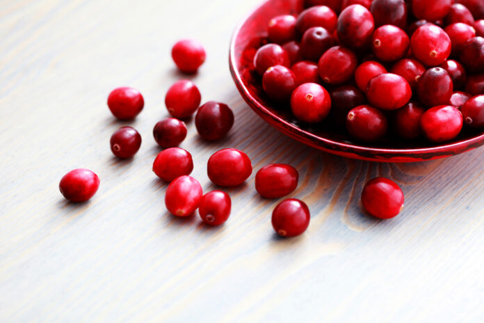 Cranberries und ihre enthaltenen Proanthocyane bieten eine natürliche und sichere Wirkung gegen Harnwegsinfekt. © matka_Wariatka / shutterstock.com