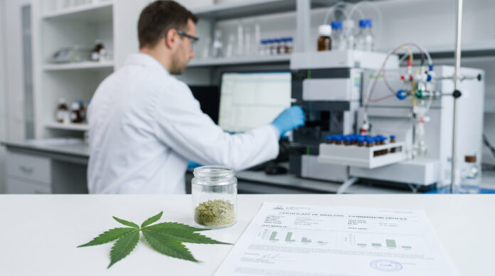 Nutzhanf und Laborbericht zur Analyse von THC und Cannabinoiden in einem modernen Prüflabor.